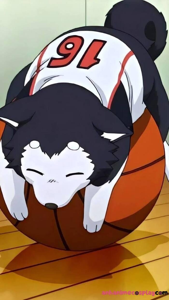 ảnh anime bóng rổ